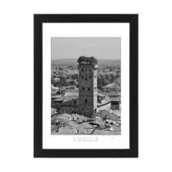 Photo printed on Paper - Fine Art - Canvas - Lucca Poster Torre Guinigi 004
