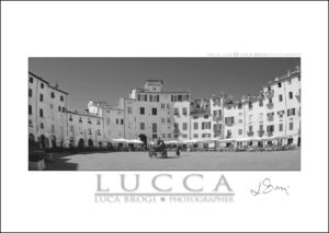 Lucca Card Anfiteatro