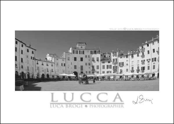 Lucca Card Anfiteatro