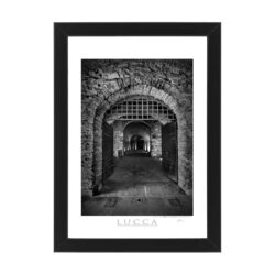 Photo printed on Paper - Fine Art - Canvas - Lucca Poster Mura 005