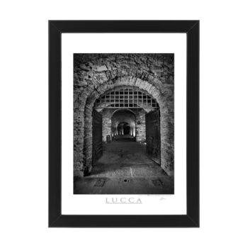 Photo printed on Paper - Fine Art - Canvas - Lucca Poster Mura 005
